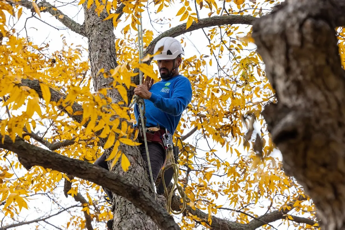 Skilled Storm Damage Cleanup crew working in Waurika